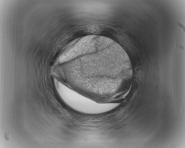 X0000098160597200805151231