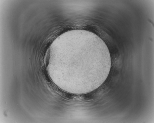 X0000098160599200805151231