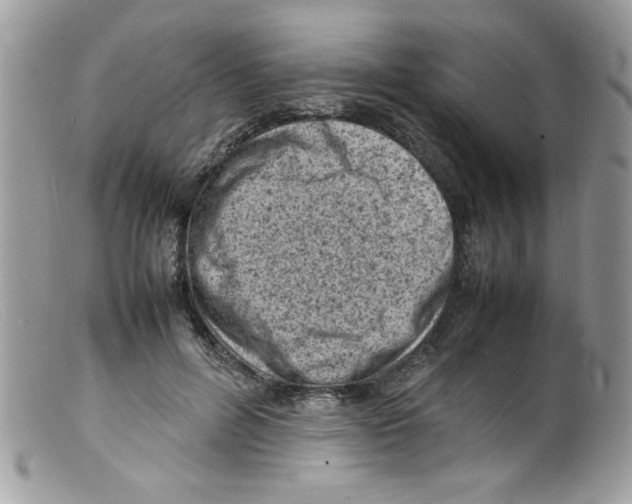 X0000098160600200805151231