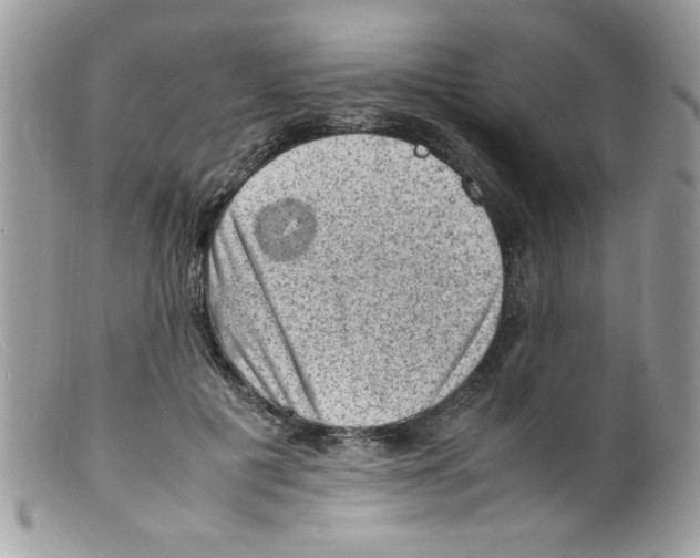 X0000098160601200805151231