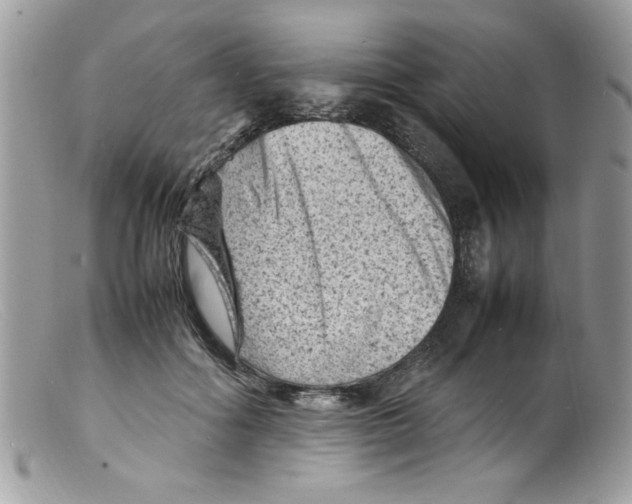 X0000098160602200805151231