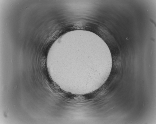 X0000098160603200805151231