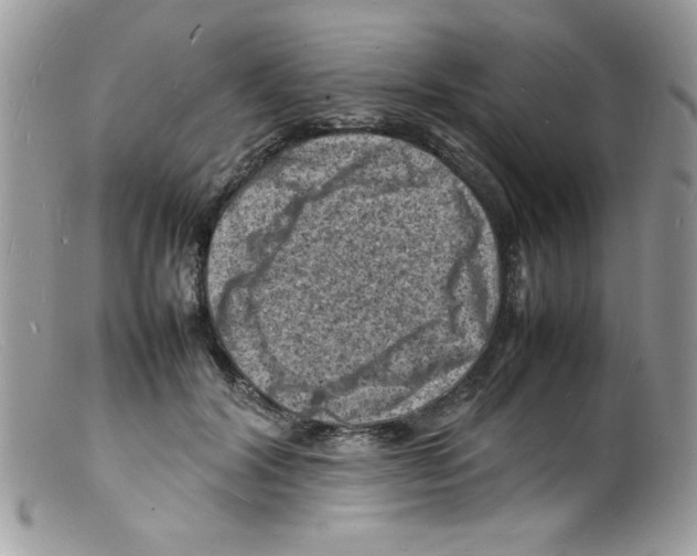 X0000098160604200805151230