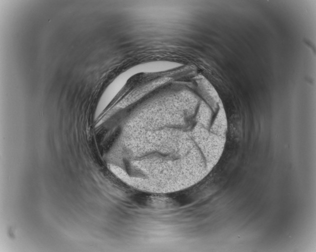 X0000098160605200805151230