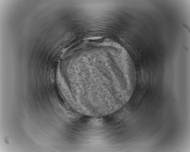 X0000098160606200805151230