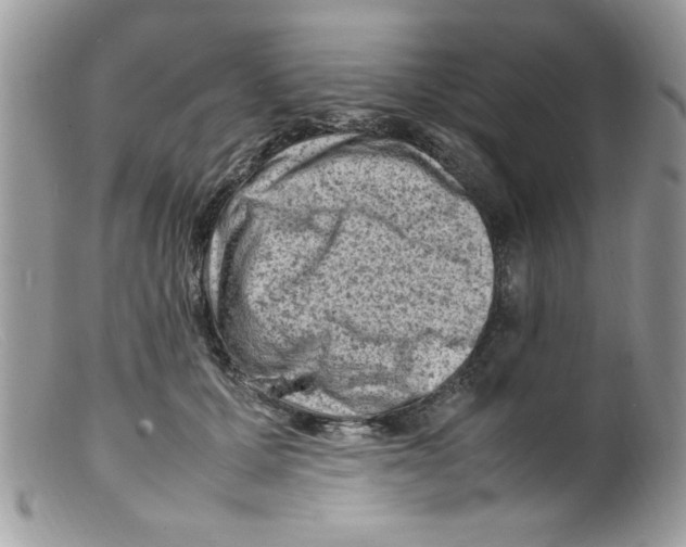 X0000098160607200805151230