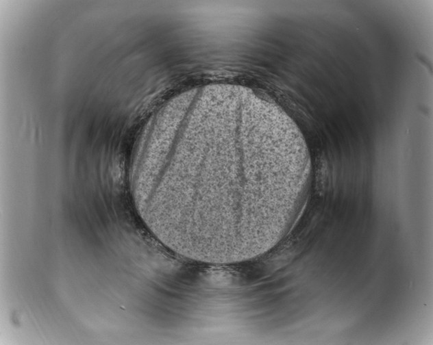 X0000098160608200805151230