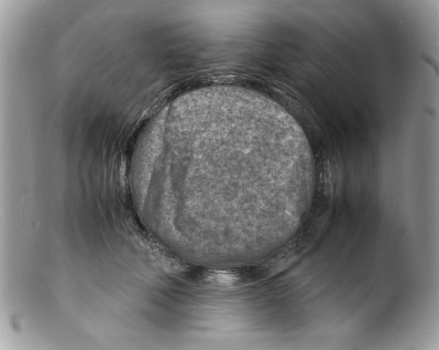 X0000098160610200805151230