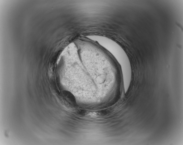 X0000098160611200805151230