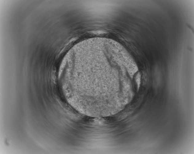 X0000098160612200805151230