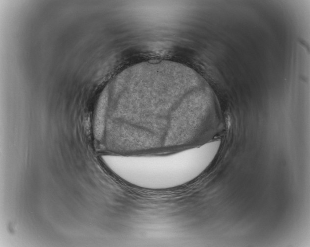 X0000098160613200805151230