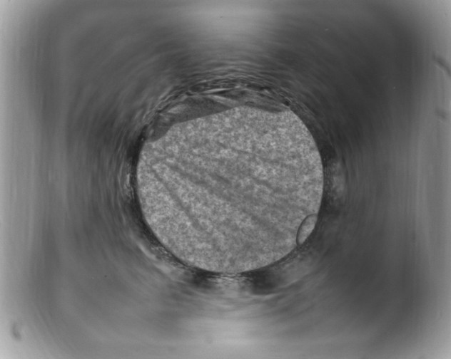 X0000098160615200805151230