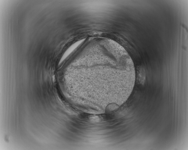 X0000098160616200805151230