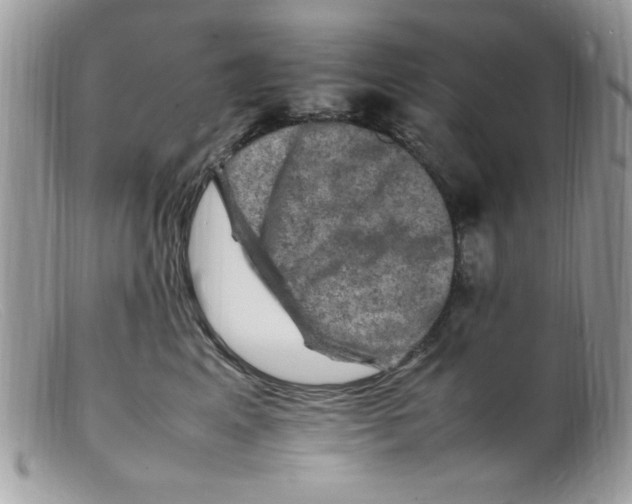 X0000098160617200805151230