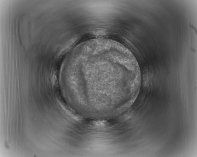 X0000098160618200805151230