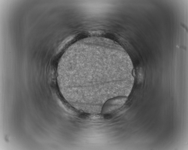 X0000098160619200805151230