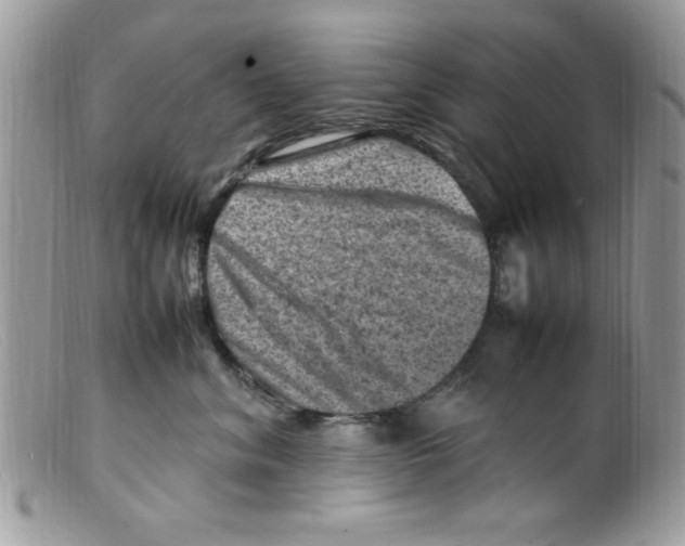 X0000098160620200805151230