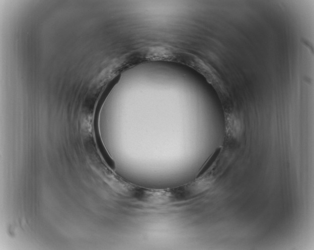 X0000098160621200805151230