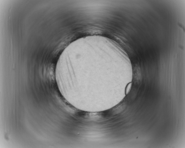 X0000098160622200805151230