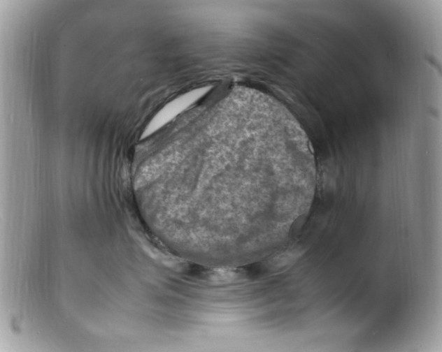 X0000098160623200805151230