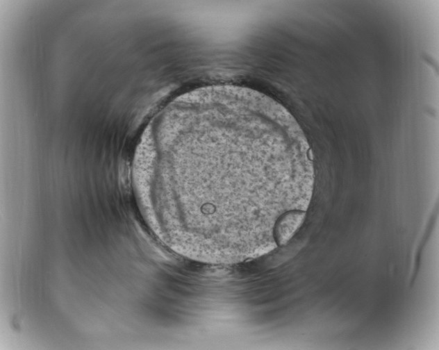 X0000098160624200805151230