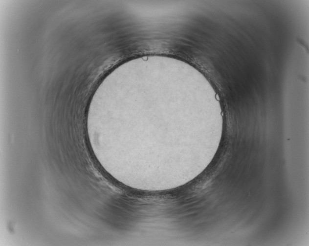 X0000098160625200805151229