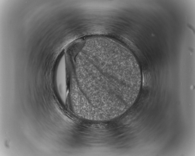 X0000098160627200805151229