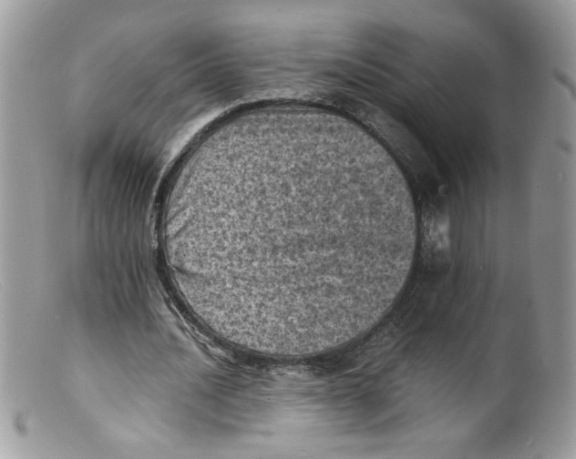 X0000098160628200805151229