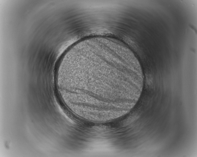 X0000098160630200805151229