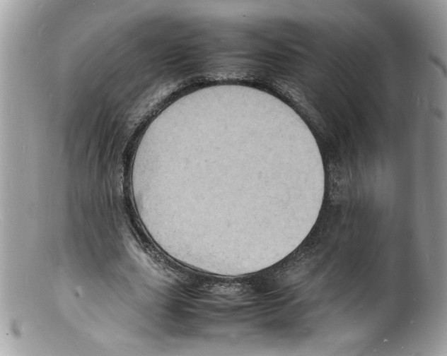 X0000098160631200805151229