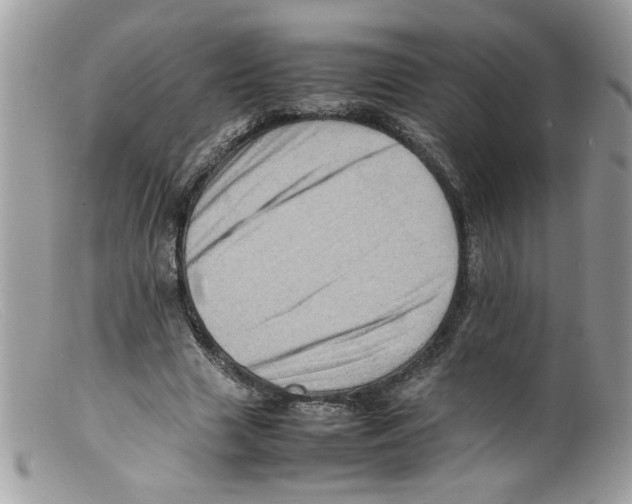 X0000098160633200805151229