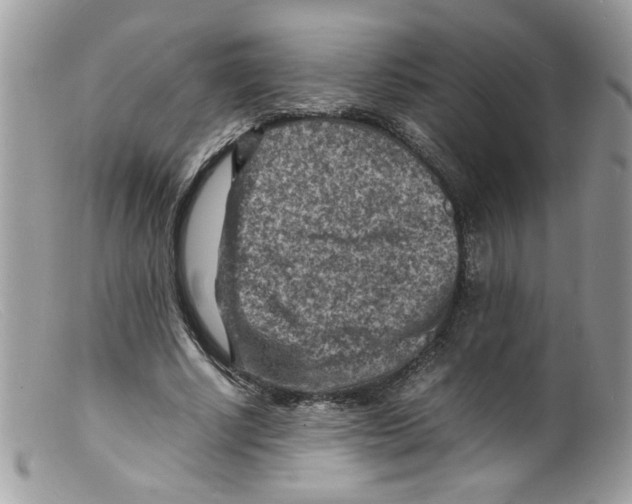 X0000098160634200805151229