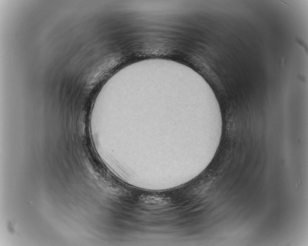 X0000098160635200805151229