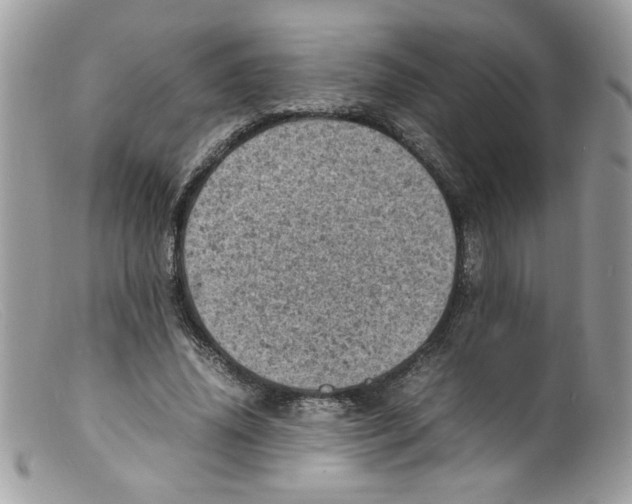 X0000098160636200805151229