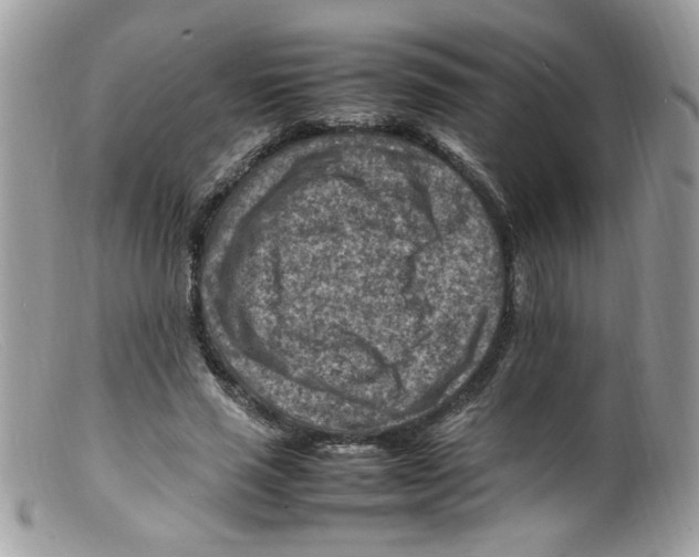 X0000098160637200805151229