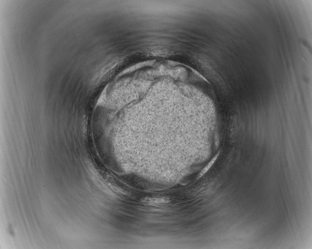 X0000098160639200805151230