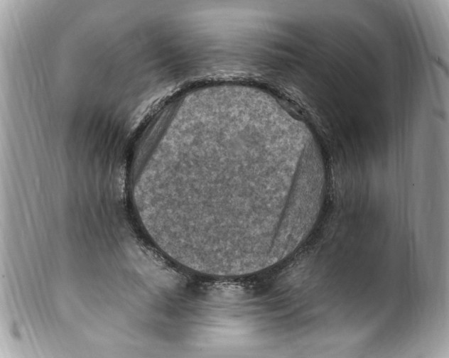 X0000098160640200805151230