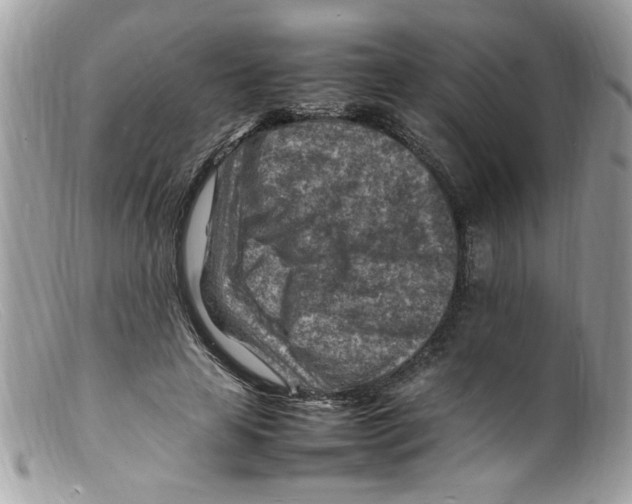 X0000098160641200805151230