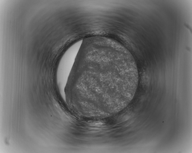 X0000098160643200805151230