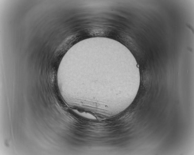 X0000098160645200805151230