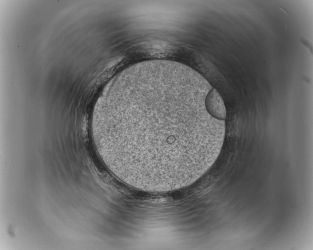 X0000098160646200805151230