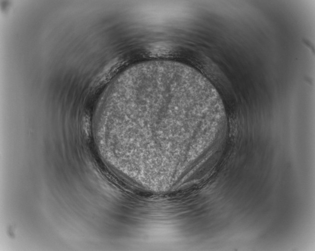 X0000098160648200805151230