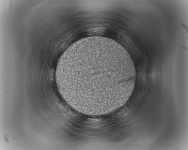 X0000098160649200805151230