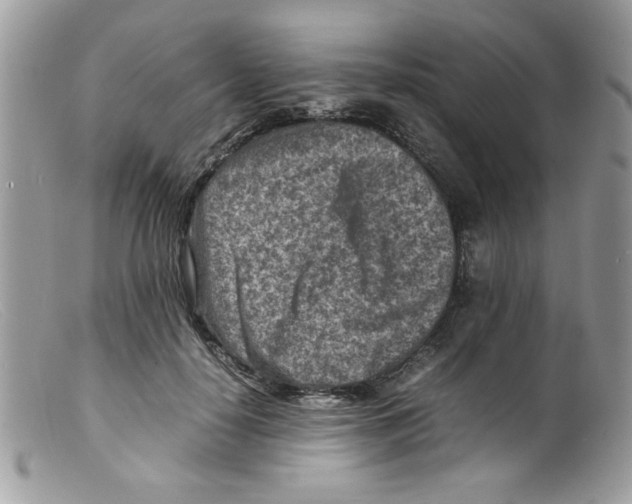 X0000098160650200805151230