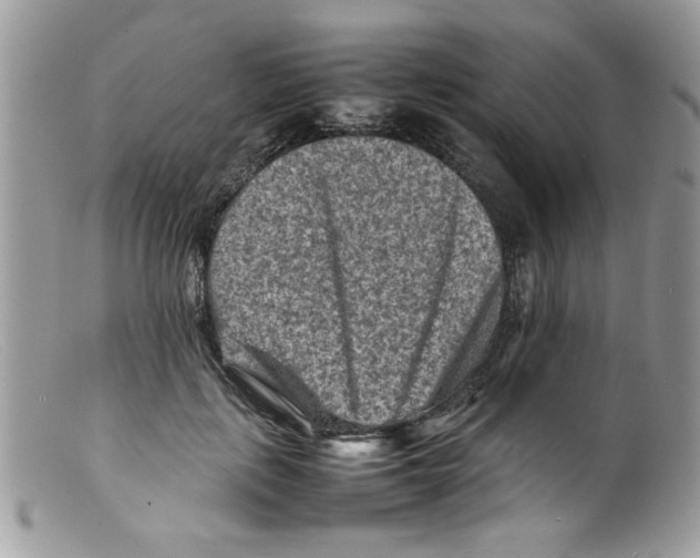 X0000098160651200805151230