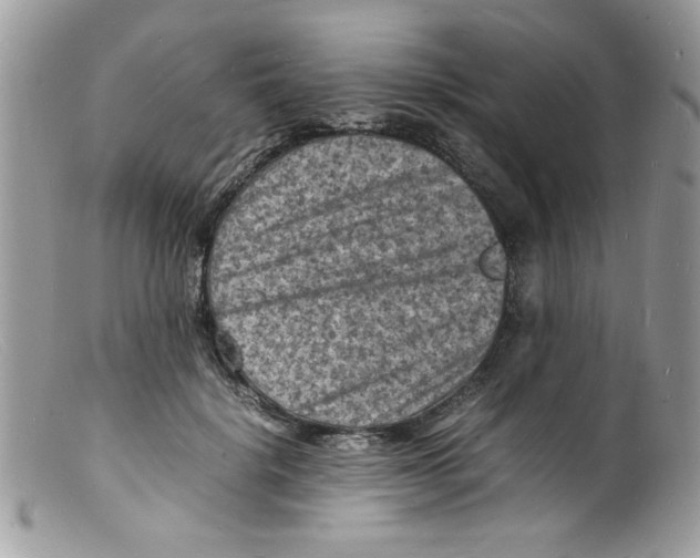 X0000098160652200805151230