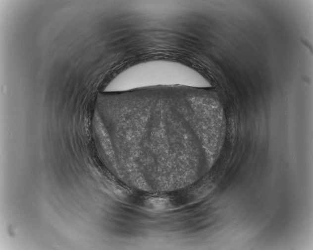 X0000098160653200805151230