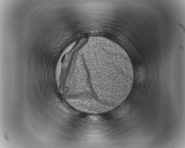 X0000098160654200805151230