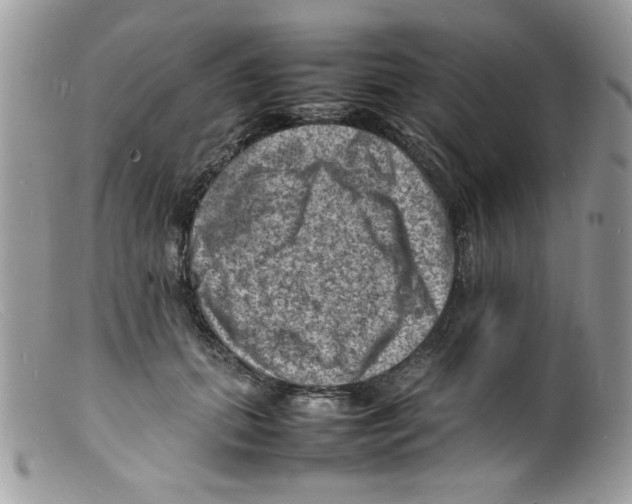 X0000098160655200805151230