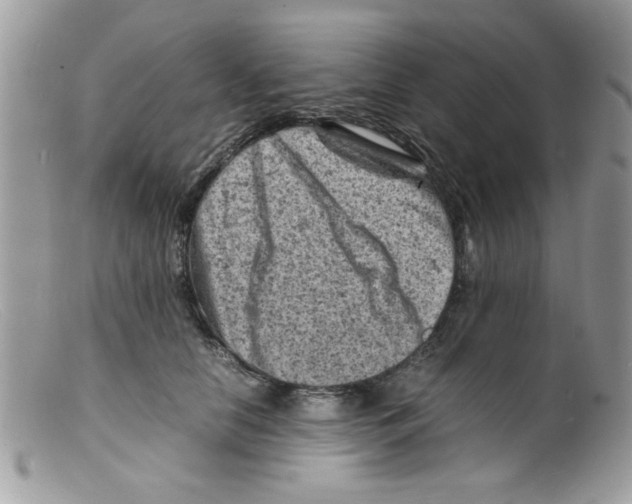 X0000098160658200805151230